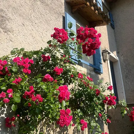 Boutique Gius La Damaglueck Marciaga