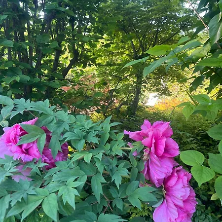 Boutique Gius La Damaglueck Bed & Breakfast